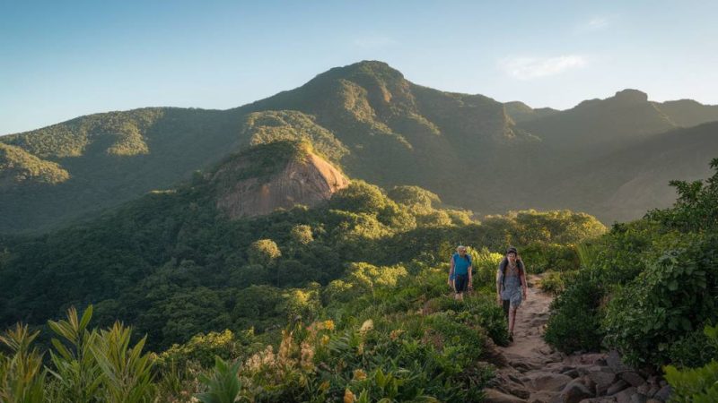 Qual a melhor época para ir a Itatiaia?: planeje sua visita